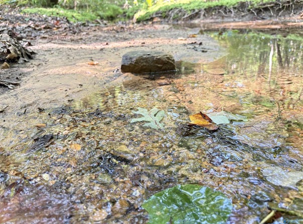 32 Ac County Road 303, Princeton, AL 35766