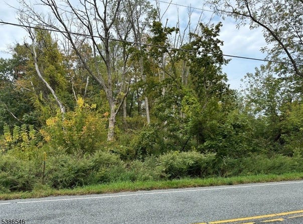 413 Mountain Lake Rd, Liberty Twp., NJ 07838-2343
