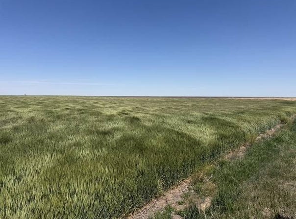000 E ROAD 250, DIGHTON, KS 67839