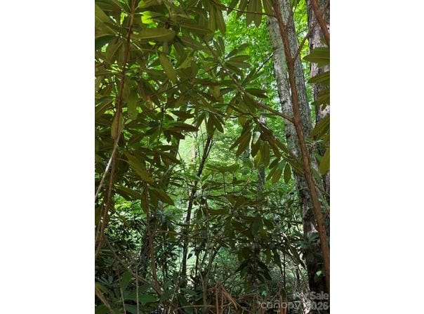 99999 NC 9 Highway, Black Mountain, NC 28711