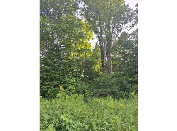 00 14 Mile Rd, Leroy, MI 49655