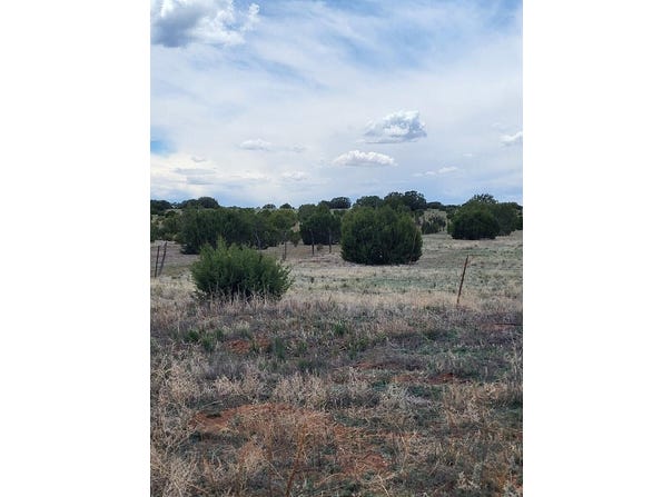 Bullion Road, Moriarty, NM 87035