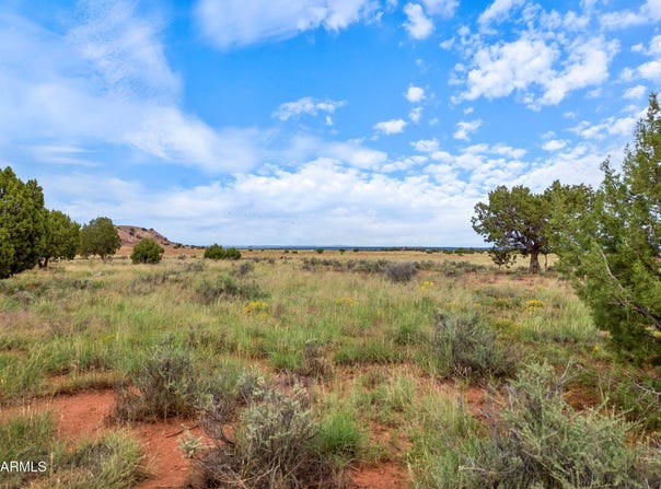 316 COUNTY ROAD 9211, Concho, AZ 85924