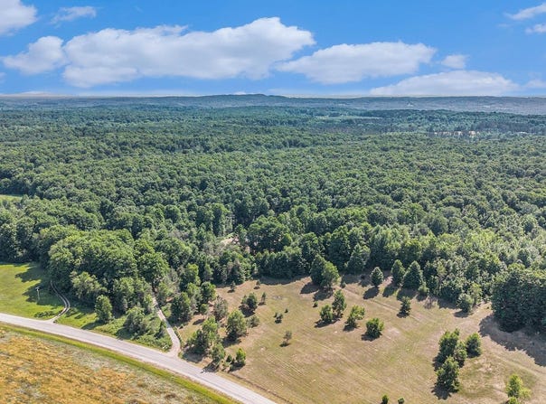 00 Valley Road, Honor, MI 49640