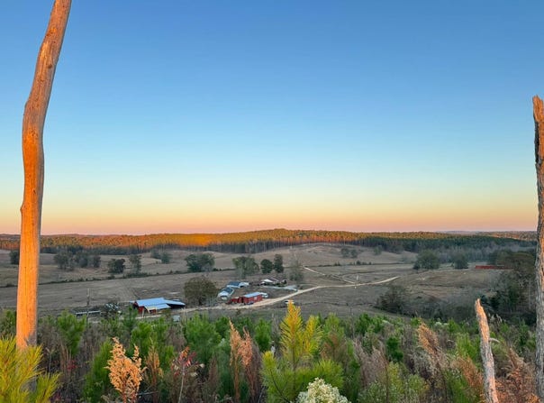 01 County Road 10, Winfield, AL 35594