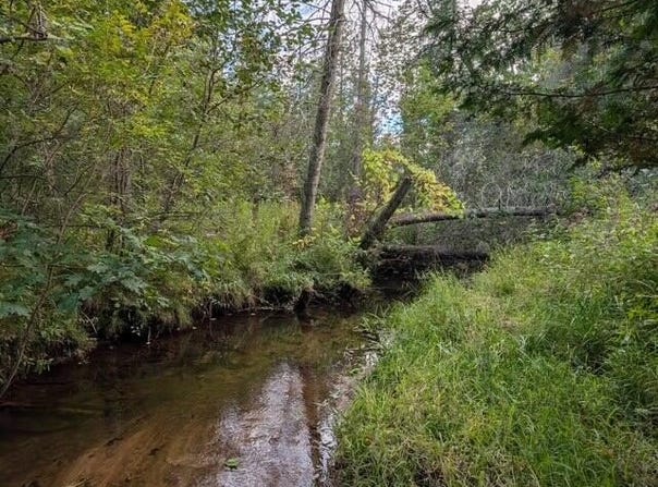 22313 10 Mile Road, Reed City, MI 49677