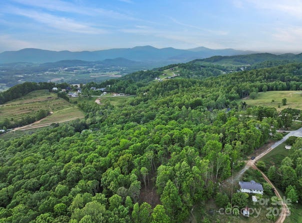000 Jacks Paw Lane, Hendersonville, NC 28792