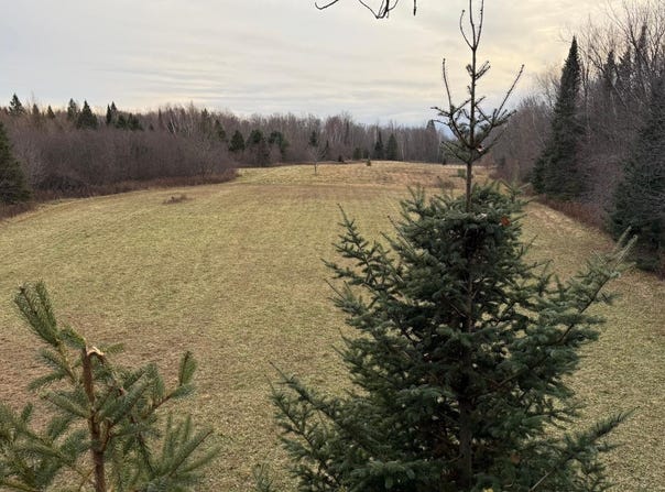 Off PARK RD S, Butternut, WI 54514