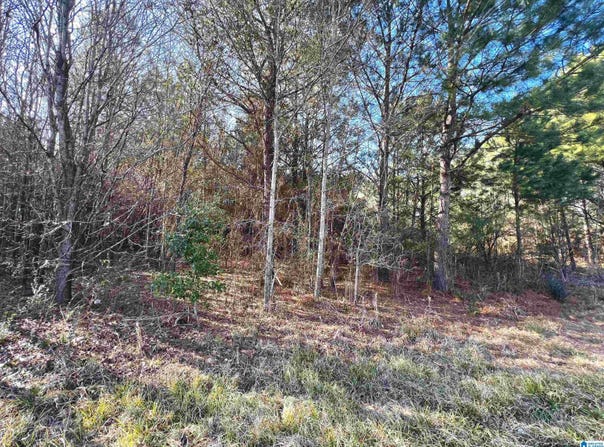 832 11TH AVENUE, PLEASANT GROVE, AL 35127