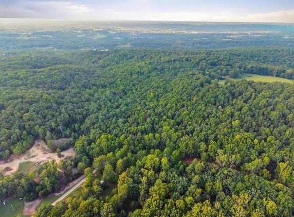 Bat Town, Crab Orchard, TN 37723