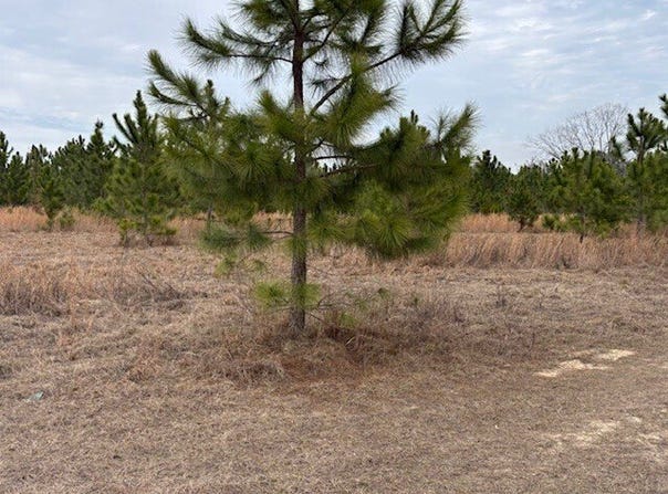 Oakridge Church Road, Tifton, GA 31794
