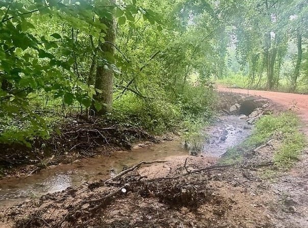 FOX Ln, Savannah, TN 38372