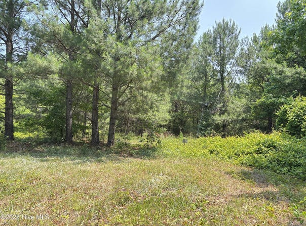 Lot 23 Buckhorn Church Road, Como, NC 27818