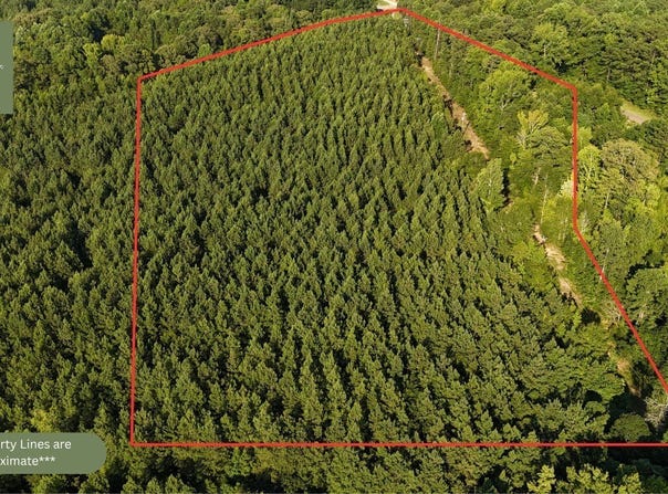 10 William Drive, Dadeville, AL 36861