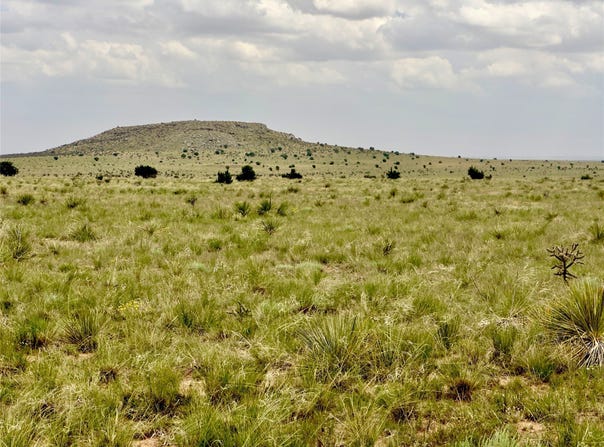Martinez Pintada Ranch, Santa Rosa, NM 88435
