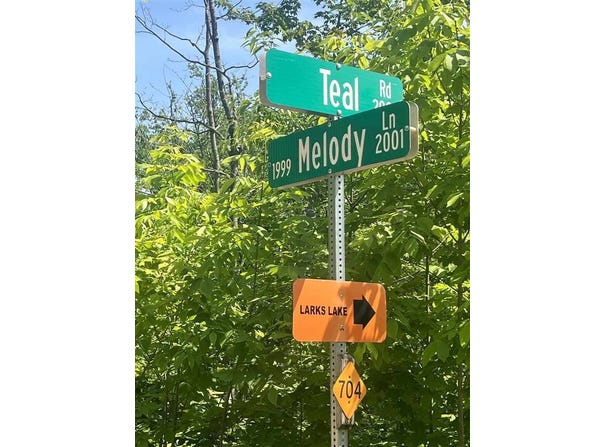 TBD TEAL, PELLSTON, MI 49769