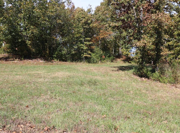 Wild Turkey Road, West Plains, MO 65775