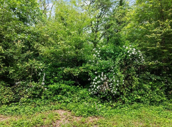 0 Horton St Lot 26, Dighton, MA 02715