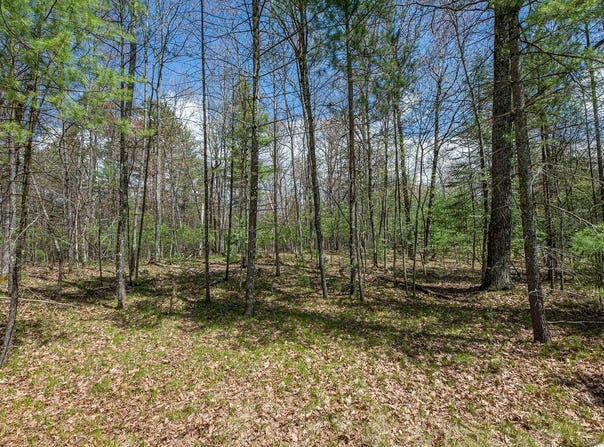 Off EAGLE WATERS RD, Eagle River, WI 54521