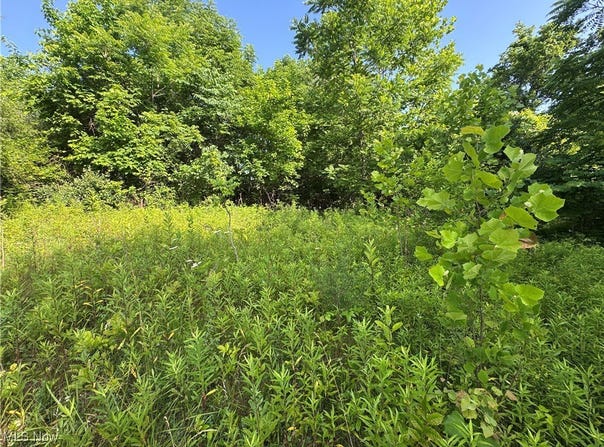 10170 Pierson Lane, Mcconnelsville, OH 43756