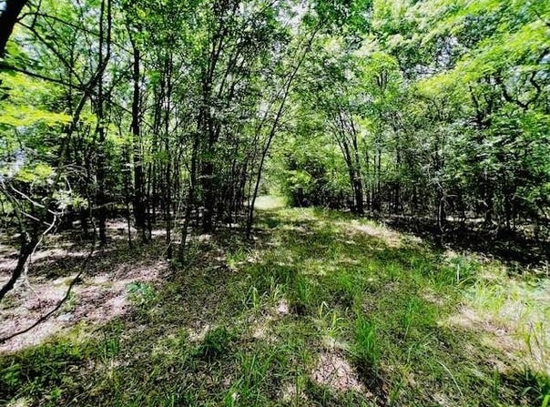 0 Fm-2297, Sulphur Springs, TX 75482