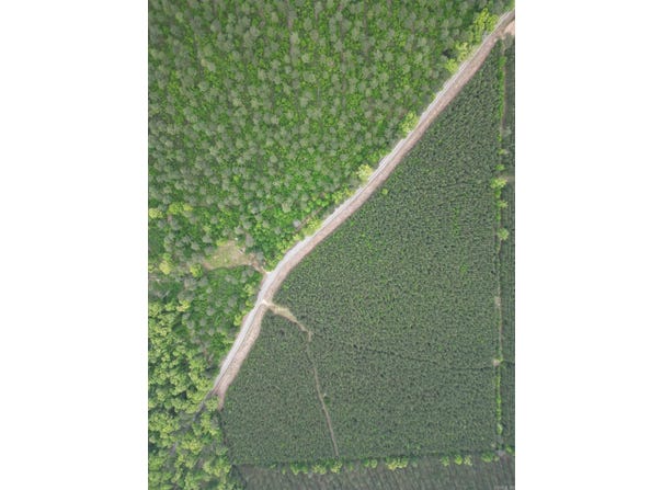 172 Highway, Monticello, AR 71655