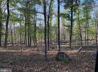 EASTER RIDGE Lane, WINCHESTER, VA 22603