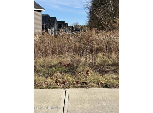 51 Vettura Court, Malta, NY 12020