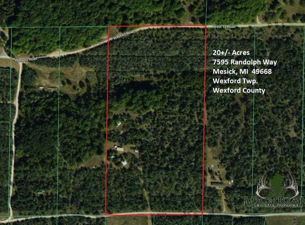 7595 Randolph Way, Mesick, MI 49668