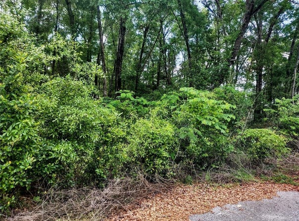 Tbd NE 155TH COURT, WILLISTON, FL 32696