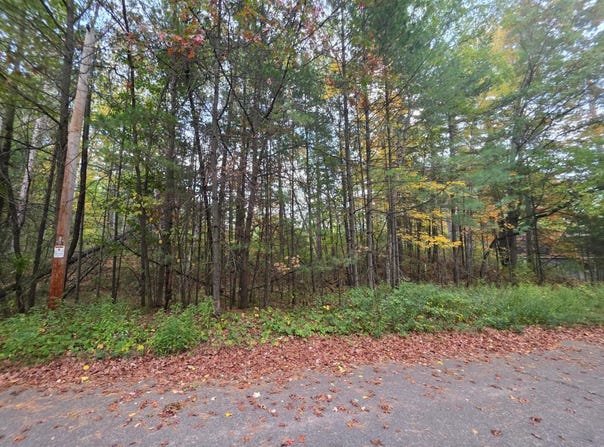 ROOSEVELT ST lot: 17-18, Tomahawk, WI 54487