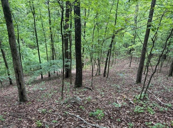 Tract 1 NC 7540, Ozone, AR 72854