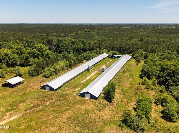 3037 Hickory Fellowship Road, Hickory, MS 39332