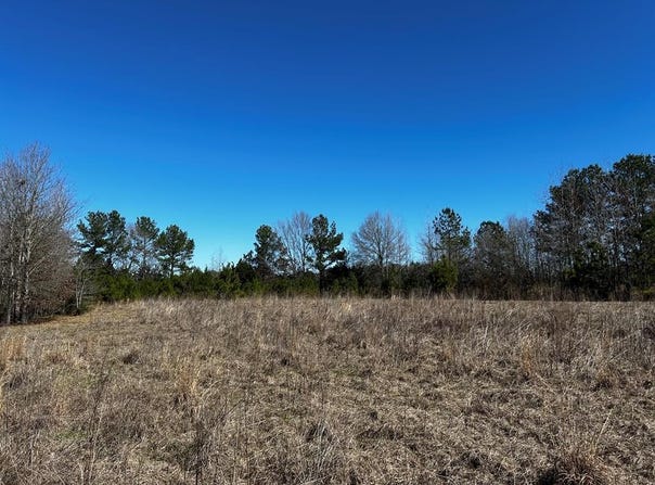 R14353 CR 167, Long Branch, TX 75669