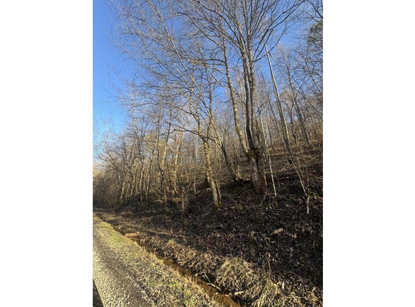 9999 Crawfish Road, Manchester, KY 40962