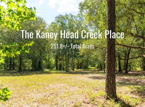 00 Stein Road, Blakely, GA 39823