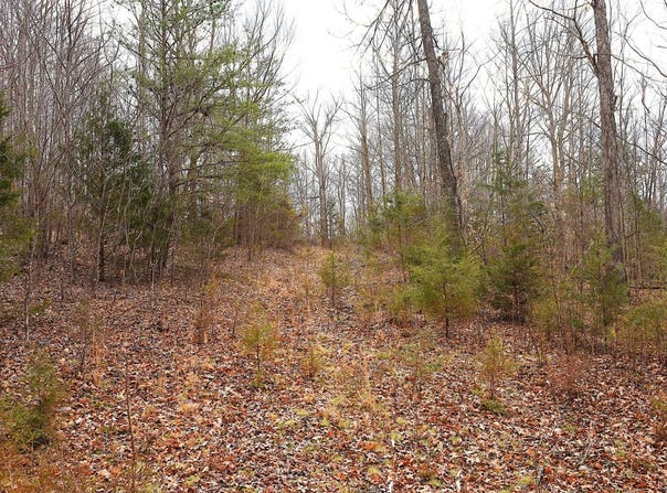 9295 Fairplay Rd, Cundiff, KY 42728