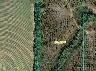 Pansey, AL 36370