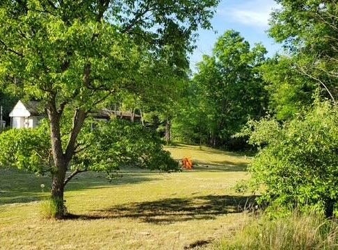 1711 14 Mile Road, Marion, MI 49665