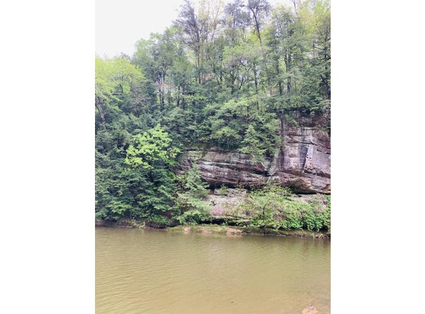 0 Hwy 81, Phil Campbell, AL 35581