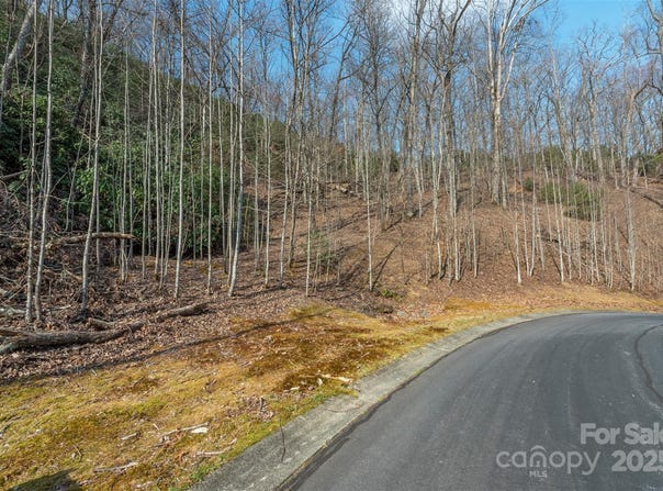 0 Shining Rock Path 12, Horse Shoe, NC 28742