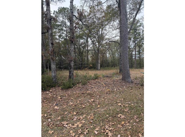 335 Byrnes Circle, Johnsonville, SC 29555