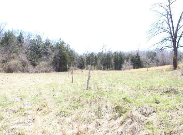 12 Berryman Cutoff, Steelville, MO 65565