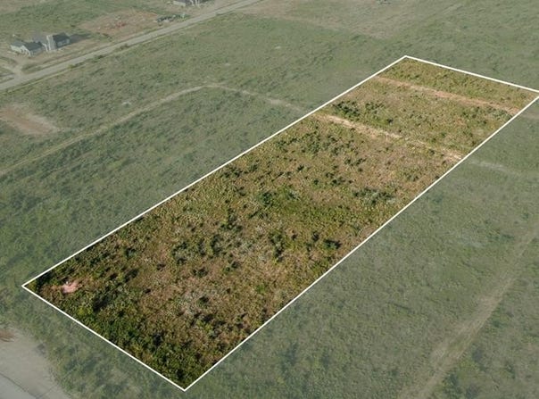 County Rd 1150, Stanton, TX 79782