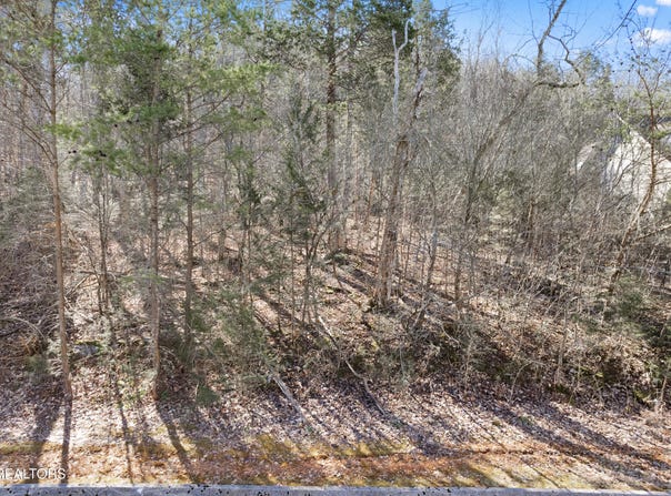 Eagles Ridge w/boat slip, Tazewell, TN 37879