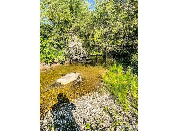 Tbd Trumpeter Road, Swan Valley, ID 83449