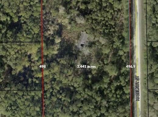 1756 Hazelnut Street, Bunnell, FL 32110