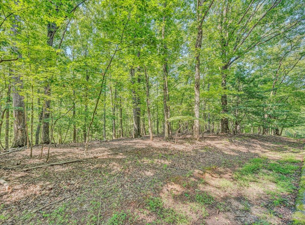 Lot 24 Woodridge TRL, Moneta, VA 24121