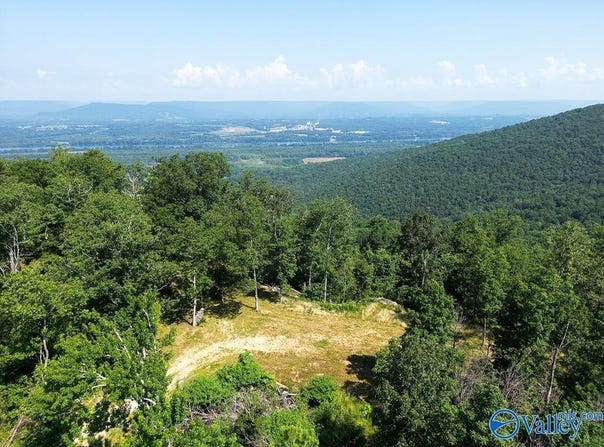 21.4 County Road 14, Flat Rock, AL 35966