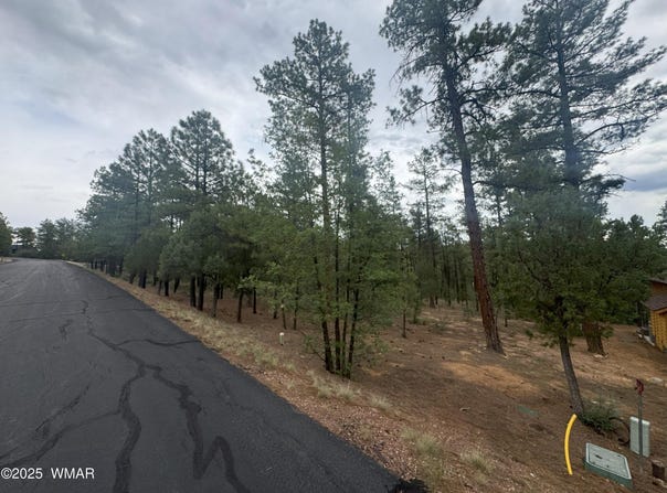1400 E Pine Oaks Drive, Show Low, AZ 85901
